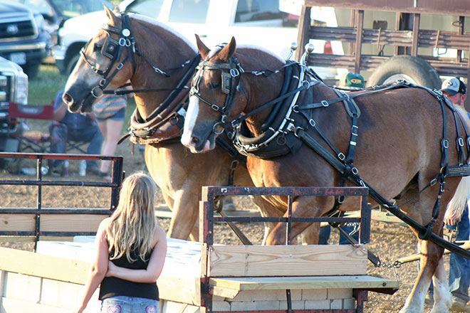Boone County Fair 4H Results - Boone County Journal Boone County Fair 4H Results - Boone County Journal